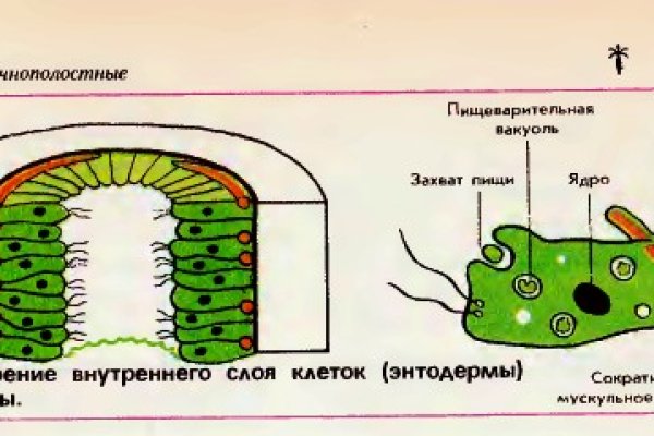 Кракен ссылка зайти