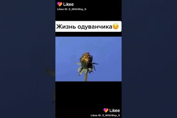 Kraken 12at зеркало