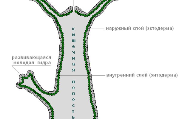 Даркнет москва