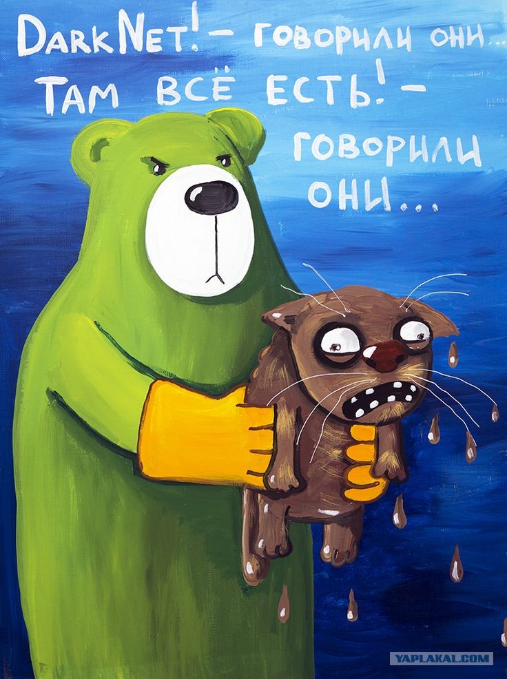 Только через тор кракен