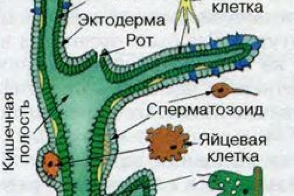 Кракен сообщество