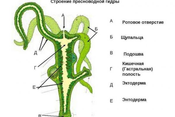 Маркетплейс кракен kraken