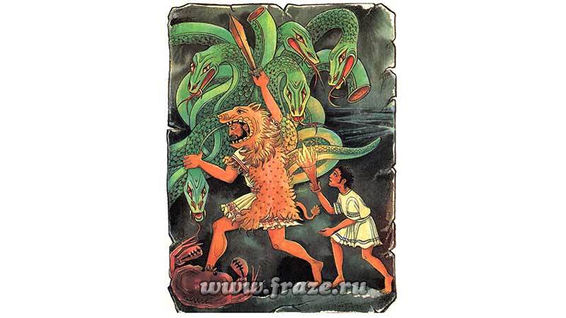 Kraken market