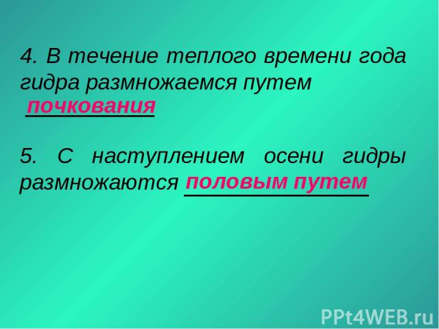 Ссылка на кракен тор kr2web in